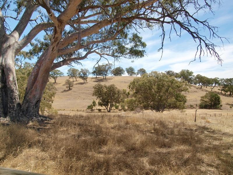 Sec 180 Cyanide Road, Mount Torrens SA 5244