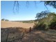 Lot 300 Berry Hill Road, Lobethal SA 5241