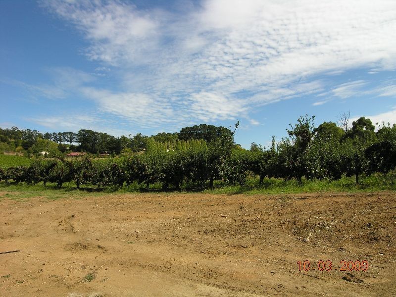 Lot 66 Woods Hill Road, Ashton SA 5137