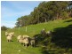 Sec 1290 Boyle Swamp Road, Mylor SA 5153