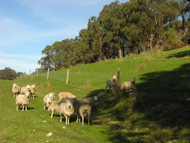 Sec 1290 Boyle Swamp Road, Mylor SA 5153