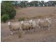 Sec 1290 Boyle Swamp Road, Mylor SA 5153