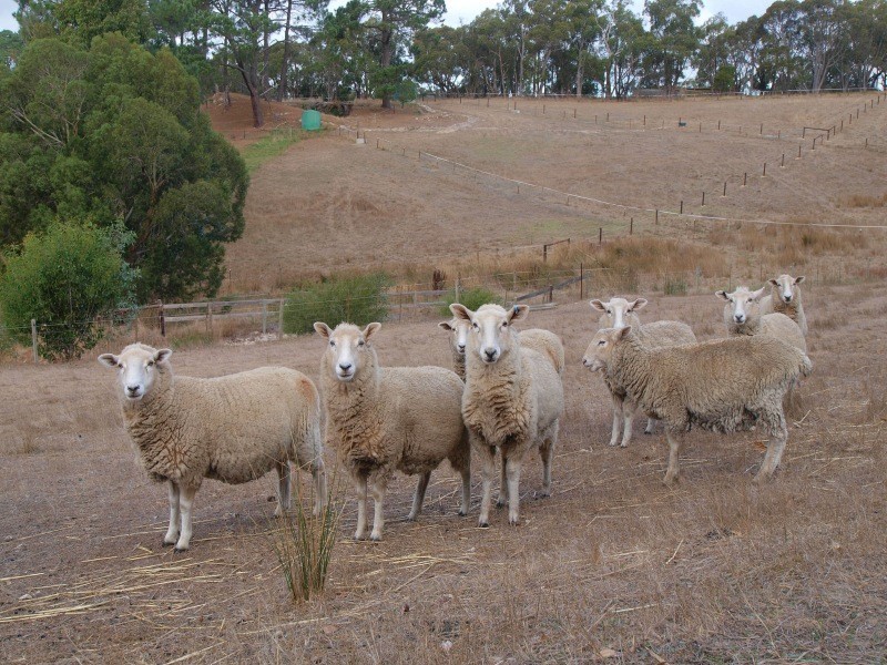 Sec 1290 Boyle Swamp Road, Mylor SA 5153
