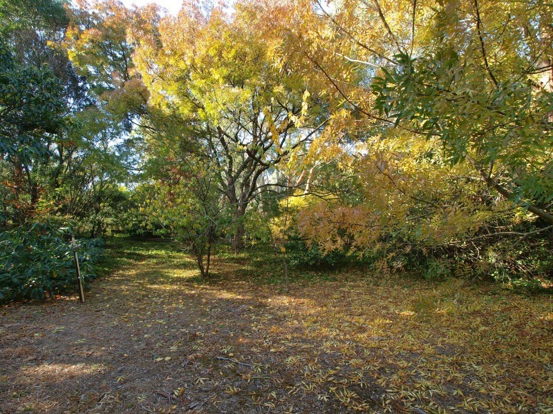 5 Fox Hill Road, Mount George SA 5155