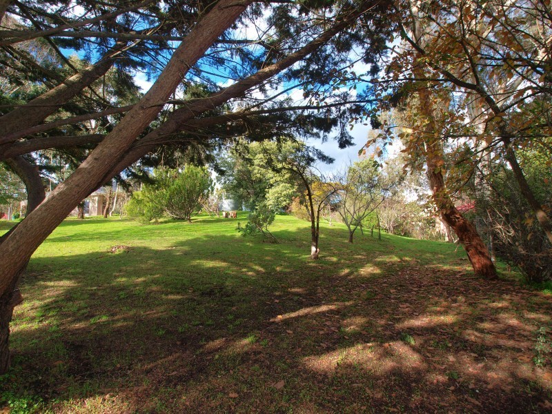 56 Onkaparinga Valley Road, Balhannah SA 5242