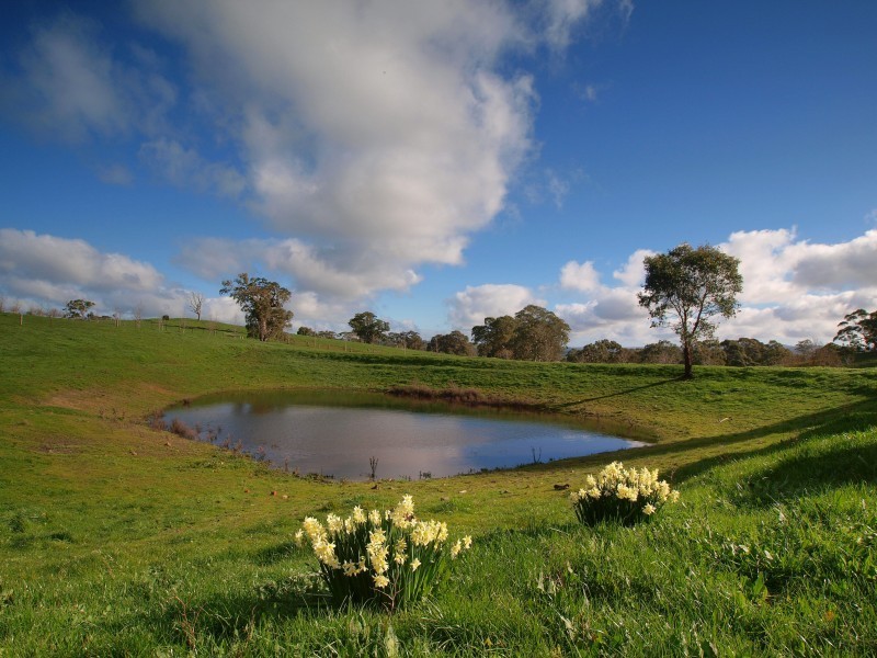 Lot 100 Murdoch Hill Road, Woodside SA 5244