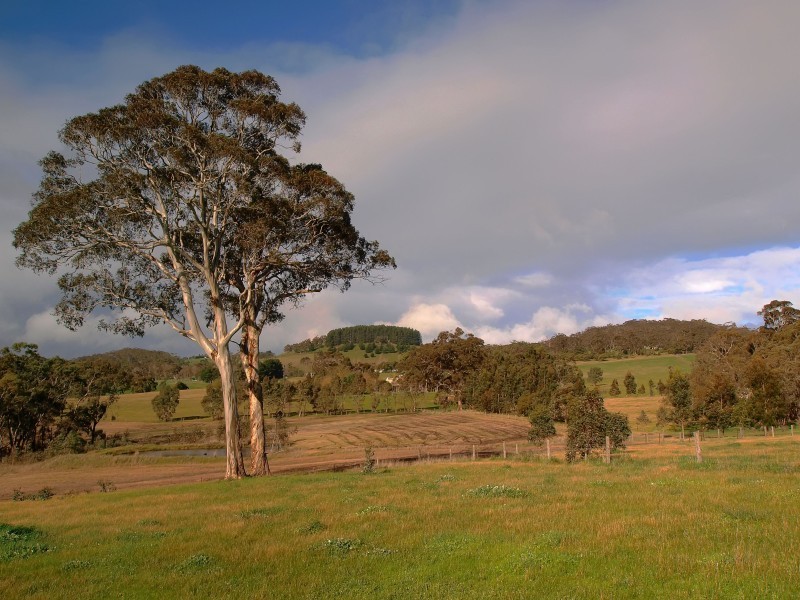 Lot 1 Morris Road, Meadows SA 5201