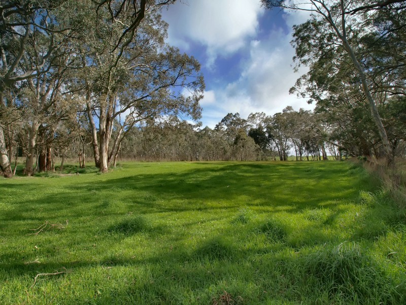 Lot 1 Morris Road, Meadows SA 5201