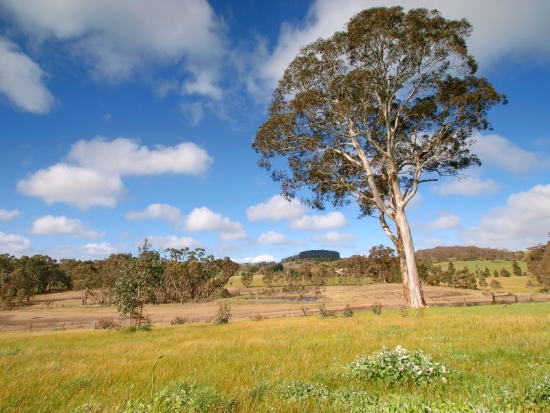 Lot 1 Morris Road, Meadows SA 5201