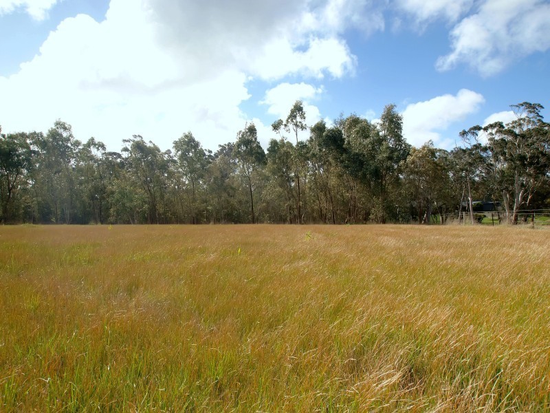 Lot 1 Morris Road, Meadows SA 5201