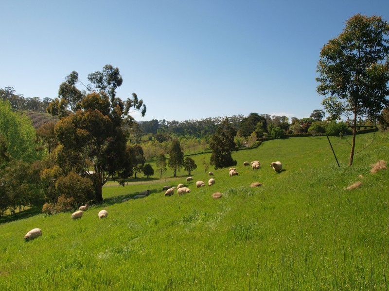 Lot 5 Grasby Road, Balhannah SA 5242