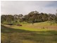 Lot 39 Taverner Road, Wistow SA 5251