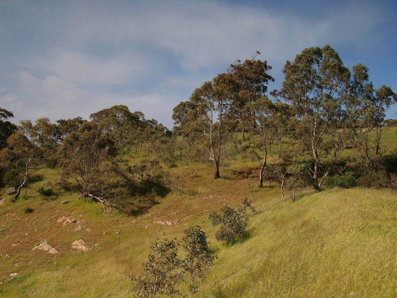 Lot 39 Taverner Road, Wistow SA 5251