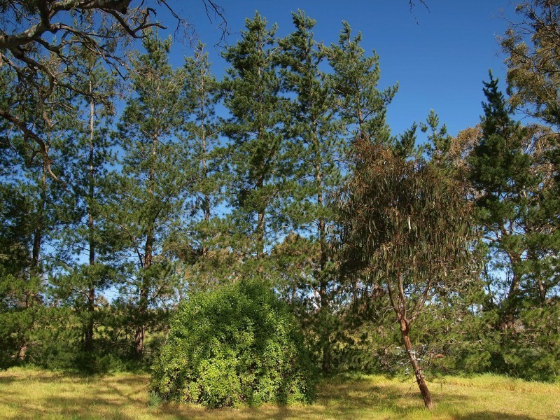 Lot 39 Taverner Road, Wistow SA 5251