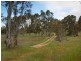 Lot 39 Taverner Road, Wistow SA 5251