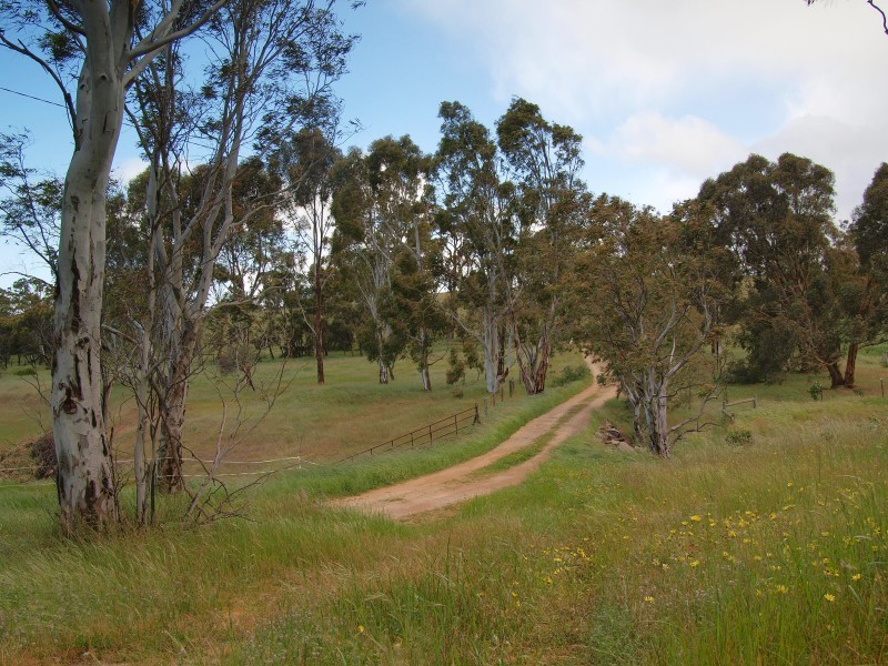 Lot 39 Taverner Road, Wistow SA 5251