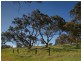 Lot 39 Taverner Road, Wistow SA 5251