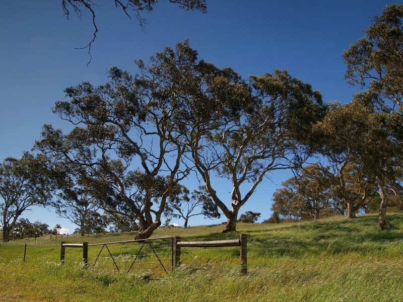 Lot 39 Taverner Road, Wistow SA 5251