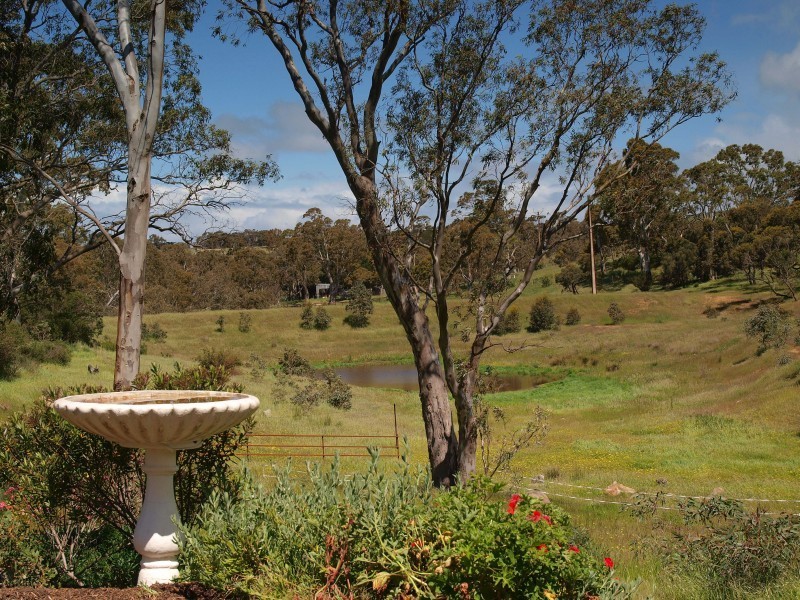 Lot 39 Taverner Road, Wistow SA 5251
