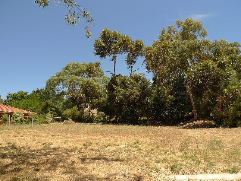 Lot 48 Tolmer Road, Woodside SA 5244