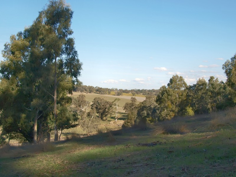 Lot 11 Western Branch Road, Lobethal SA 5241