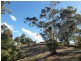 Lot 11 Western Branch Road, Lobethal SA 5241