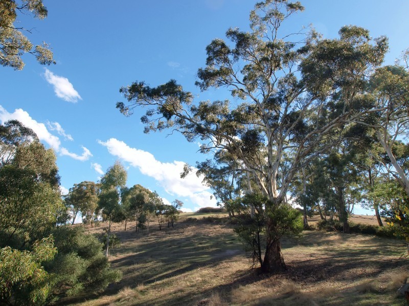 Lot 11 Western Branch Road, Lobethal SA 5241