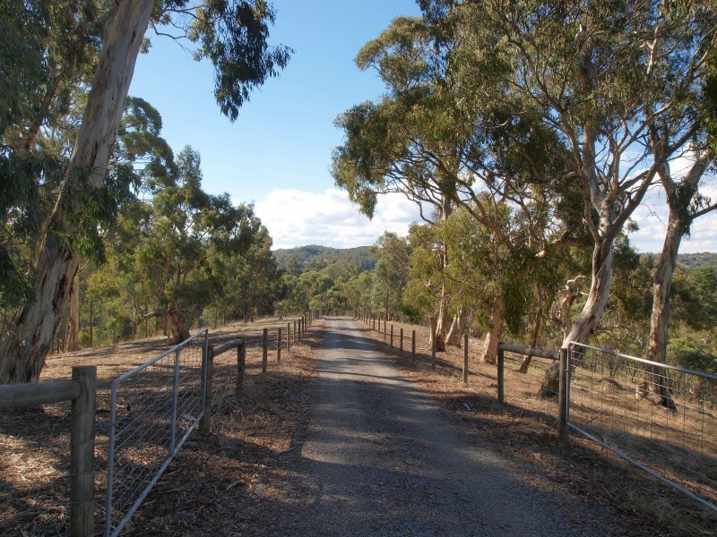 Lot 11 Western Branch Road, Lobethal SA 5241