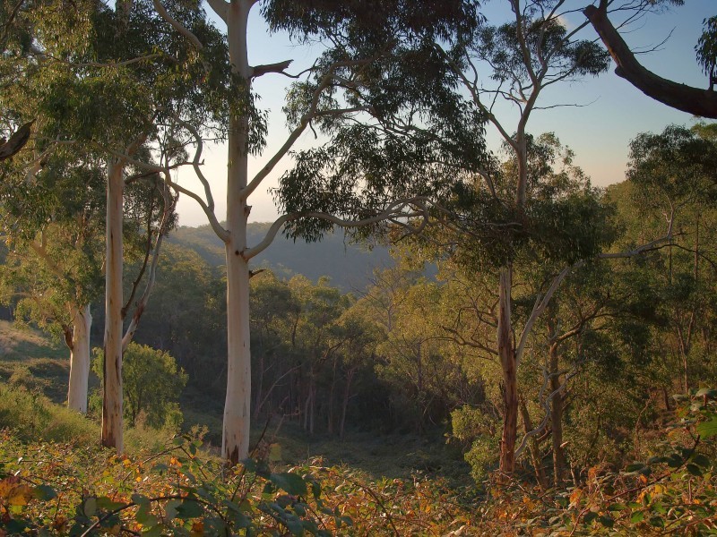 Lot 38 Coach Road, Ashton SA 5137