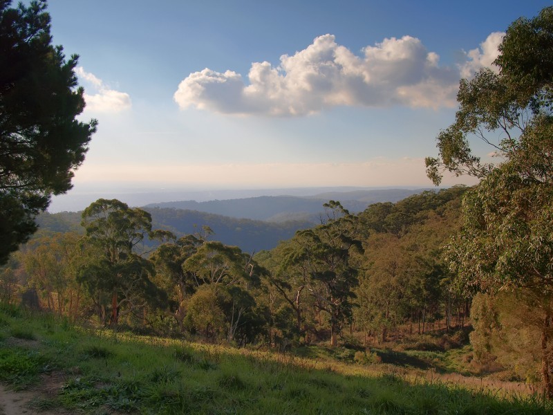 Lot 38 Coach Road, Ashton SA 5137