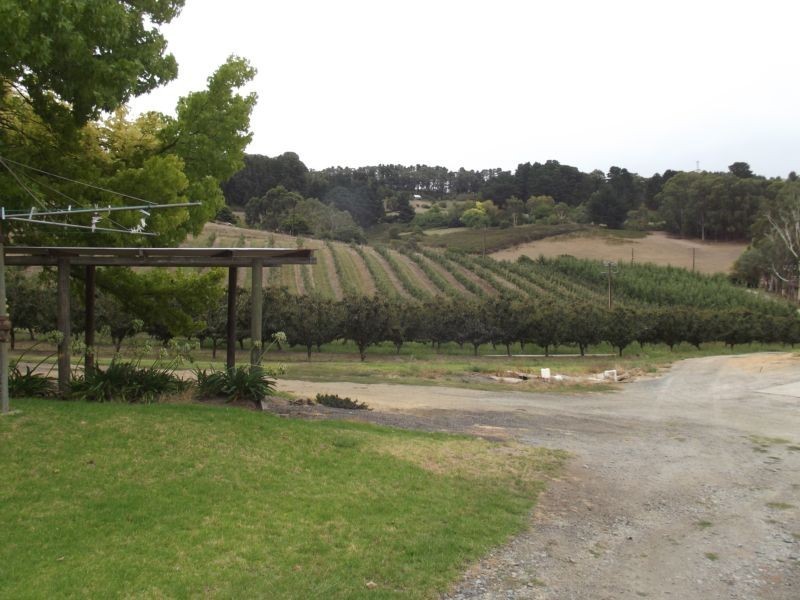 12 Osborne Road, Ashton SA 5137