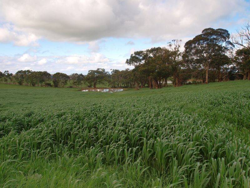 305 Greenhills Road, Macclesfield SA 5153
