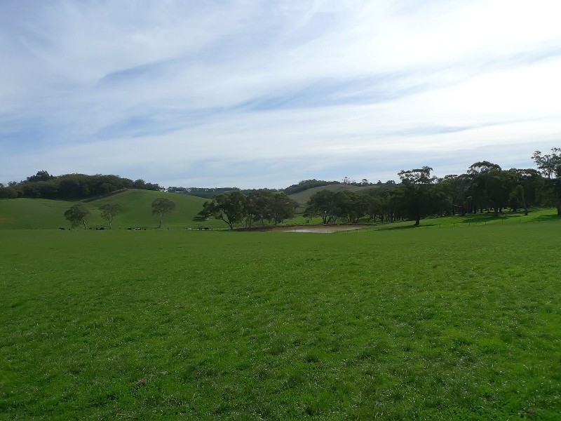 305 Greenhills Road, Macclesfield SA 5153