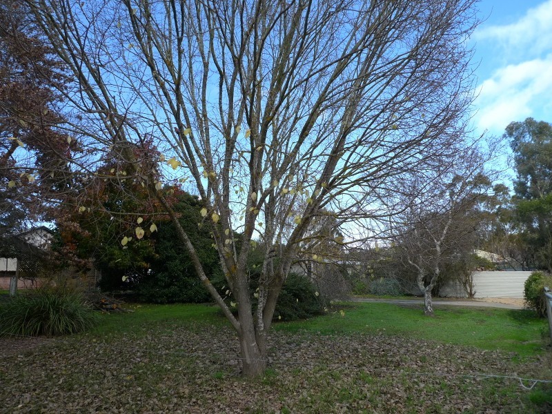 8a Margaret Street, Woodside SA 5244