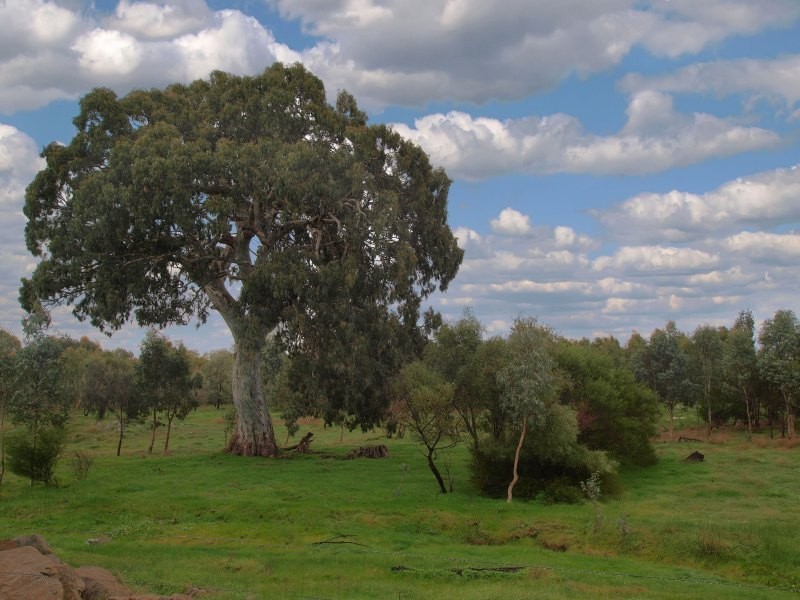 Lot 25 Appleton Road, Harrogate SA 5244