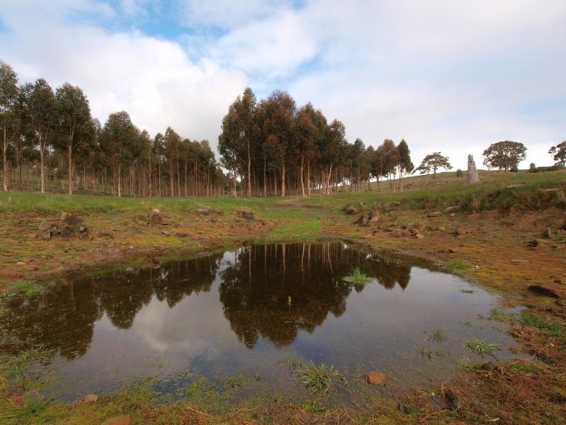 Lot 25 Appleton Road, Harrogate SA 5244
