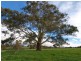 Lot 25 Appleton Road, Harrogate SA 5244