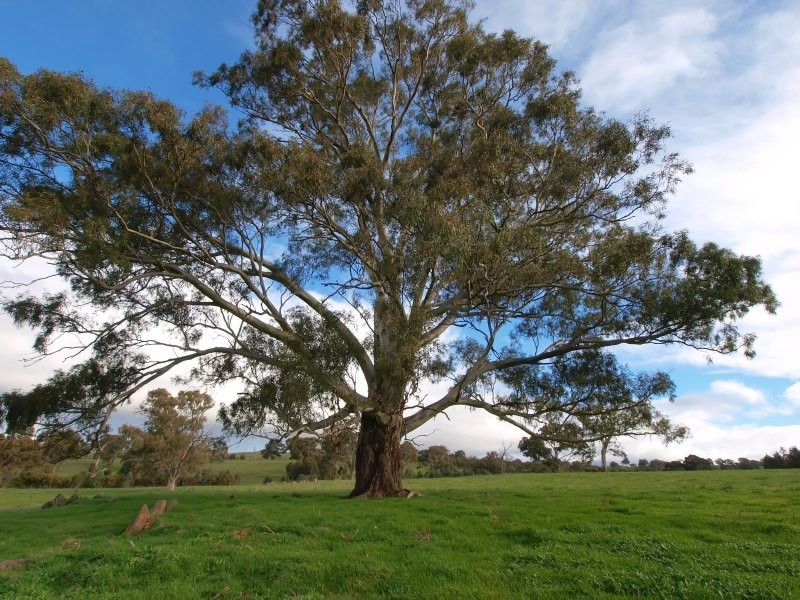 Lot 25 Appleton Road, Harrogate SA 5244