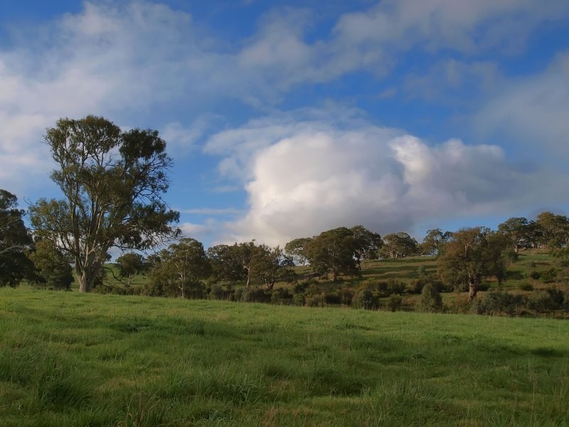 Lot 25 Appleton Road, Harrogate SA 5244