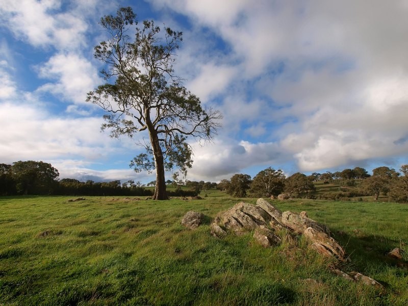 Lot 25 Appleton Road, Harrogate SA 5244
