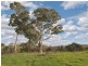Lot 25 Appleton Road, Harrogate SA 5244