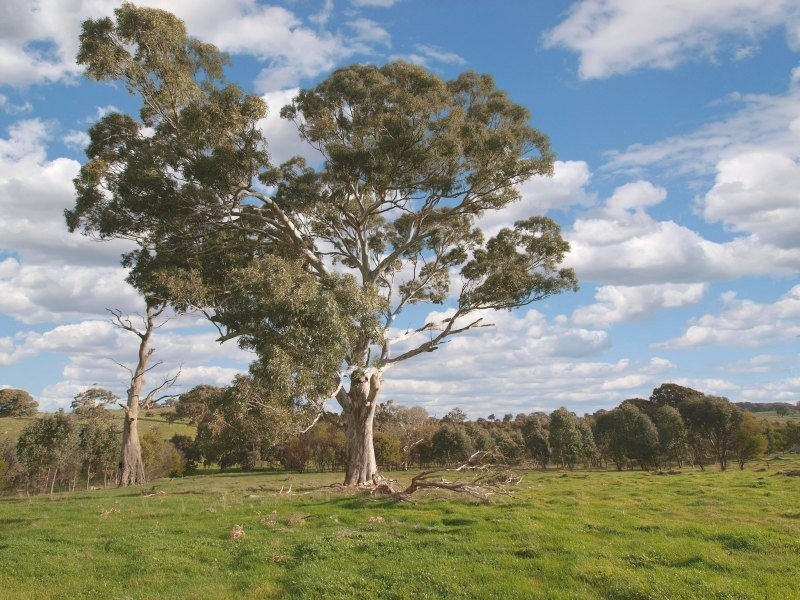 Lot 25 Appleton Road, Harrogate SA 5244