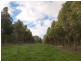 Lot 25 Appleton Road, Harrogate SA 5244