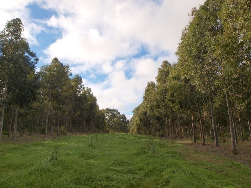 Lot 25 Appleton Road, Harrogate SA 5244