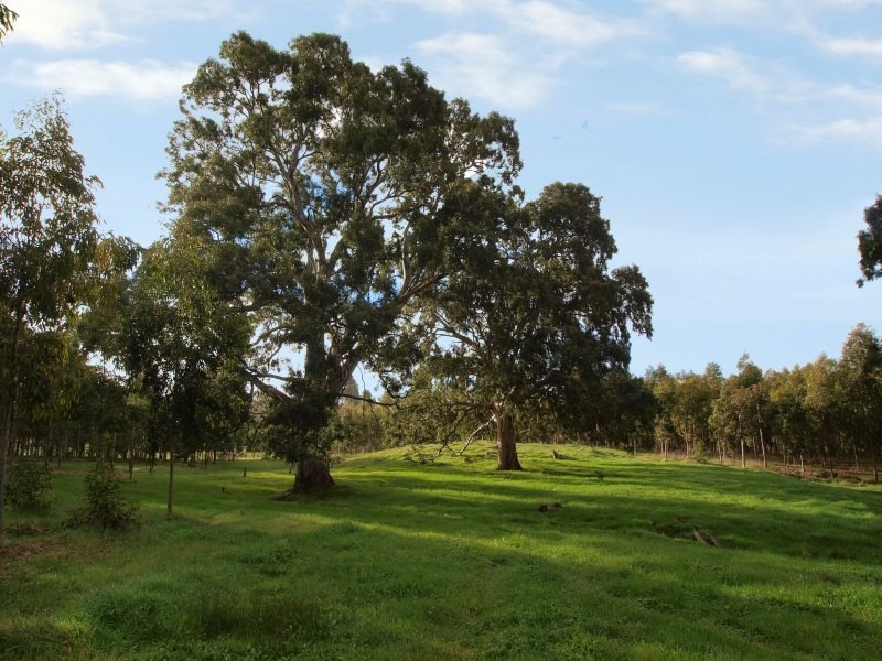 Lot 25 Appleton Road, Harrogate SA 5244