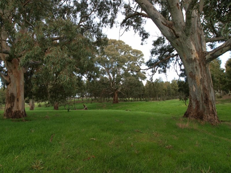 Lot 25 Appleton Road, Harrogate SA 5244