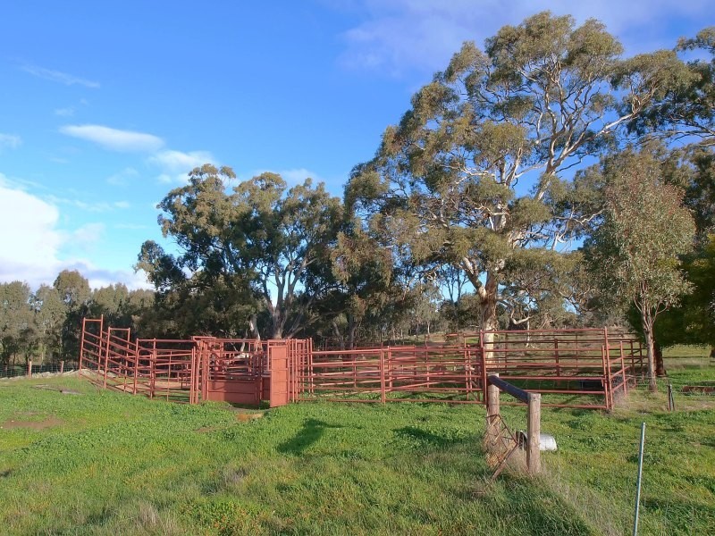 Lot 25 Appleton Road, Harrogate SA 5244