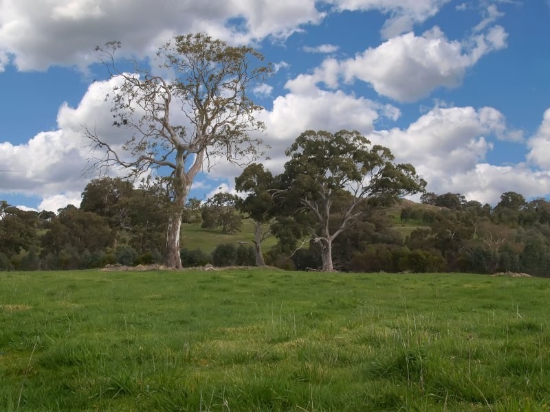 Lot 25 Appleton Road, Harrogate SA 5244
