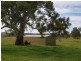 Lot 91 and 92, Woolshed Road, Mount Torrens SA 5244