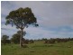 Lot 91 and 92, Woolshed Road, Mount Torrens SA 5244